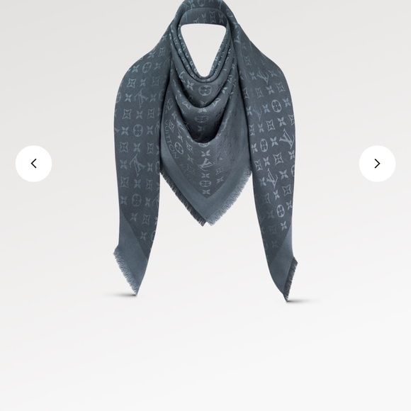 Louis Vuitton Shawl - Picture 2 of 8